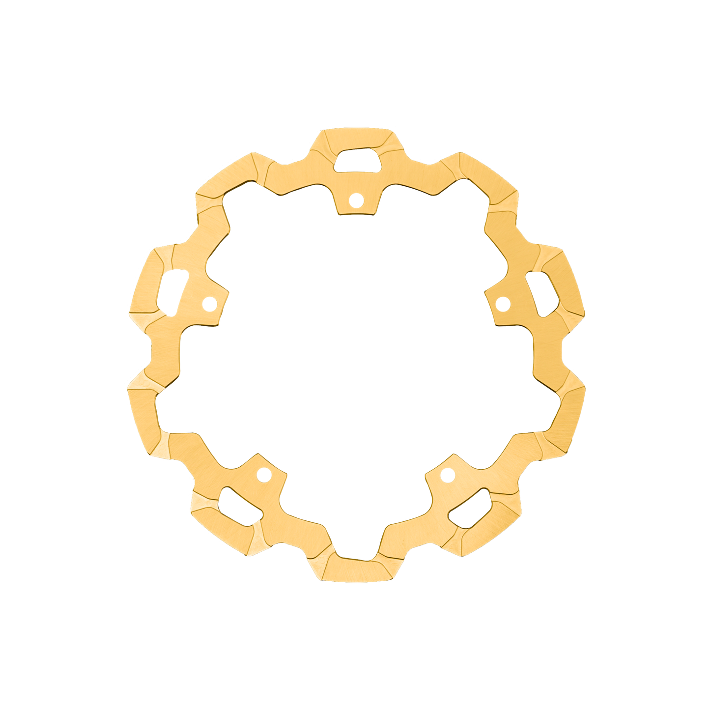 Pan America One Piece Rear Rotor